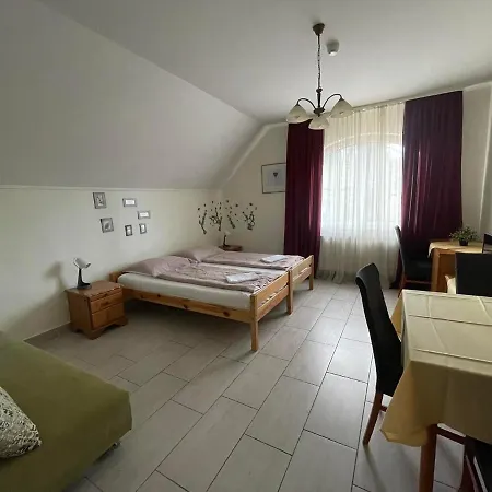 Toelgyfa Panzio 3* 米什科尔茨