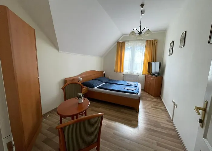 Toelgyfa Panzio 3*