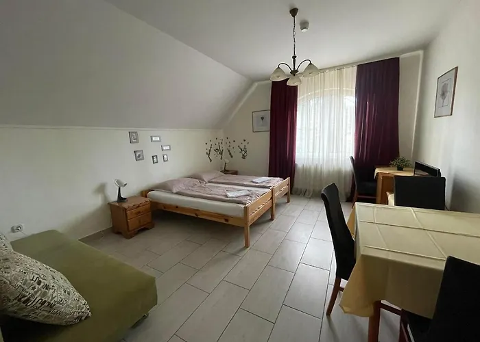 Toelgyfa Panzio 3* מישקולץ