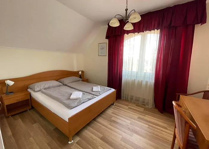 Toelgyfa Panzio 3*