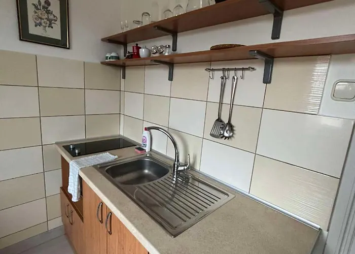 Toelgyfa Panzio 미슈콜츠