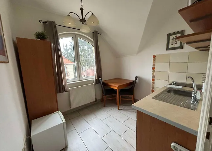 Toelgyfa Panzio 3* 미슈콜츠