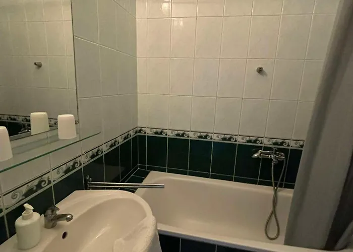 Toelgyfa Panzio 미슈콜츠